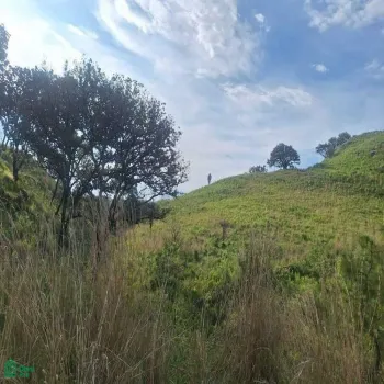 Terreno En Venta,La Primavera,La Primavera S/N, Zapopan, Jalisco 45226,La Primavera,MX25996169