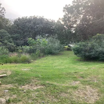 Terreno En Venta,El Palomar,PASEO DEL BOSQUE 525, Tlajomulco de Zúñiga, Jalisco 45643,PASEO DEL BOSQUE ,pNi0u5j