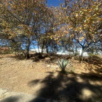 Terreno En Venta,Bugambilias,Boulevard Bugambilias 4460, Zapopan, Jalisco 45237,Boulevard Bugambilias,pLe7DG3