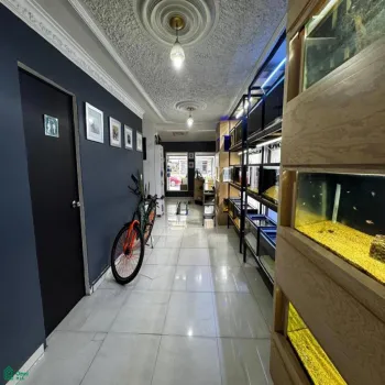 Casa En Venta,Arboledas 1a Secc,Mariano Otero 5669, Zapopan, Jalisco 45082, 3 Habitaciones,1 Baño,Mariano Otero,2,MX25999915