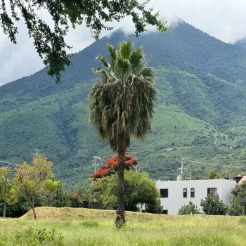 Terreno En Venta,Corona con Allende 00, Jocotepec, Jalisco 45800,Corona con Allende,pTkQ3B9