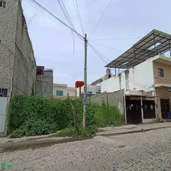Terreno En Venta,Albatros,arboledas lote 31 y 32, Puerto Vallarta, Jalisco 48315,arboledas,MX251010876