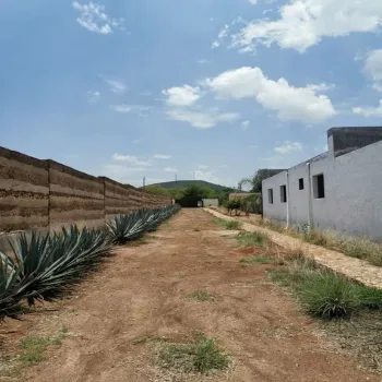 Terreno En Venta,El Arenal,Sobre Carretera Kilometro 33 kilometro 33, El Arenal, Jalisco 45350, 5 Habitaciones,5 Baños,Sobre Carretera Kilometro 33,1,p8NJrMv