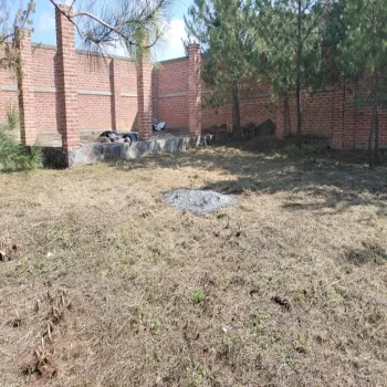 Terreno En Venta,atacco,Parcela 304, Tapalpa, Jalisco 49340,Parcela ,p2W8uTg