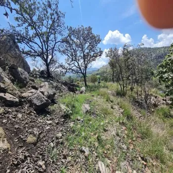 Terreno En Venta,CERRITO LOS PATIOS,LOS PATIOS LOTE 3, Zapopan, Jalisco 45200,LOS PATIOS,pKFStEu