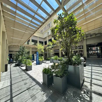 Departamento En Renta,Cabecera Municipal,Avenida Hidalgo 352 206A, Zapopan, Jalisco 45160, 2 Habitaciones,2 Baños,Avenida Hidalgo,1,pXXA35x