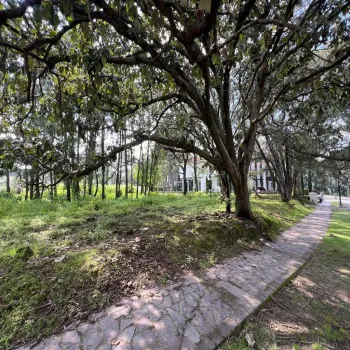 Terreno En Venta,Country Club,Bosque de los lagos lote 20 1, Guadalajara, Jalisco 45640,Bosque de los lagos,pQLwREf