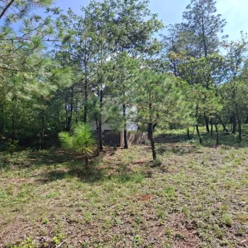 Casa En Venta,Lomas de la Cañada,Carretera La Frontera – Atemajac Km 50 S/N L 12 M B, Tapalpa, Jalisco 49340, 2 Habitaciones,2 Baños,Carretera La Frontera – Atemajac Km 50,1,p8wsCLL