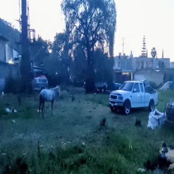 Terreno En Renta,Santa Ana Tepetitlán,Abasolo 150, Zapopan, Jalisco 45230,Abasolo,p1Clg35