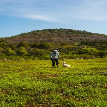 Terreno En Venta,Punta Campestre,Callejón Los Capulines 50, Atemajac de Brizuela, Jalisco 45790,Callejón Los Capulines,pHFBF6u