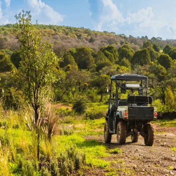 Terreno En Venta,Punta Campestre,Callejón Los Capulines 50, Atemajac de Brizuela, Jalisco 45790,Callejón Los Capulines,pHFBF6u