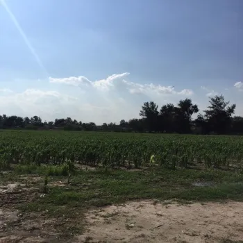 Terreno En Venta,Concepción Del Valle,Concepción del Valle S/N, Tlajomulco de Zúñiga, Jalisco 45653,Concepción del Valle,pIEQriD