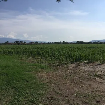 Terreno En Venta,Concepción Del Valle,Concepción del Valle S/N, Tlajomulco de Zúñiga, Jalisco 45653,Concepción del Valle,pIEQriD