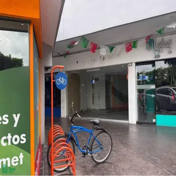 Edificio En Renta,Fracc. Terranova,MANUEL ACUÑA 2929, Guadalajara, Jalisco 44689,MANUEL ACUÑA,MX251015753