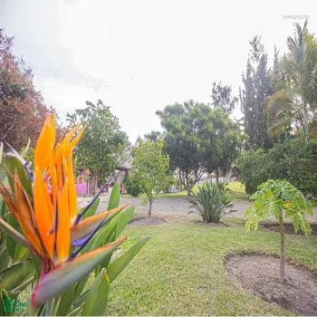 Terreno En Venta,San Antonio Tlayacapan,libramiento chapala ajijic 2000, Chapala, Jalisco 45920,libramiento chapala ajijic,MX23203273