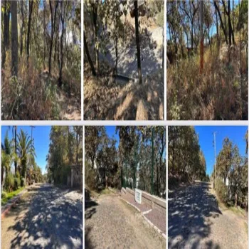 Terreno En Venta,Pinar de la Venta,Paseo del Pinar 2, Zapopan, Jalisco 45221,Paseo del Pinar,pRnc8Tm