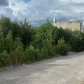 Terreno En Venta,Los Jazmines,Jazmín 21, Ocotlán, Jalisco 47800,Jazmín ,p9WhpSs