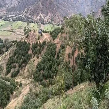 Terreno En Venta,Ranchería La Yerbabuena,Huerta camichines S/N, Tamazula de Gordiano, Jalisco 49650,Huerta camichines,pbGqIDP