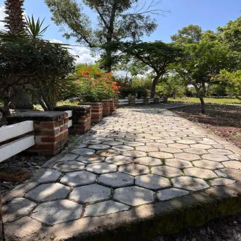 En Venta,San Juan Evangelista,Carr. San Juan Evangelista S/N, Tlajomulco de Zúñiga, Jalisco 45665, 5 Habitaciones,2 Baños,Carr. San Juan Evangelista,1,pRA26To