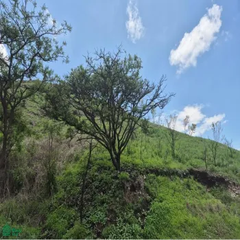 Edificio En Venta,Las Cañadas,Paseo de la Cañada Norte S/N, Zapopan, Jalisco 45130,Paseo de la Cañada Norte,MX251027456