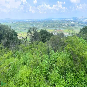 Terreno En Venta,Cajititlán,predio -, Tlajomulco de Zuniga, Jalisco 45670,predio,MX251028091