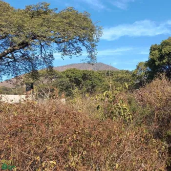 Terreno En Venta,San Nicolás de Ibarra,PASEO DEL OSO B, Chapala, Jalisco 45940,PASEO DEL OSO,MX241030747