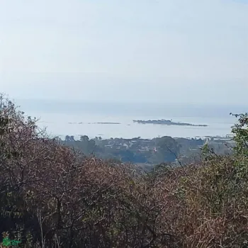 Terreno En Venta,San Nicolás de Ibarra,PASEO DEL OSO B, Chapala, Jalisco 45940,PASEO DEL OSO,MX241030747