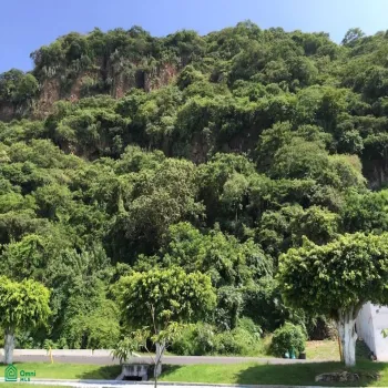 Terreno En Venta,Chapala Centro,Carretera Chapala Jocotepec 907, Chapala, Jalisco 45900,Carretera Chapala Jocotepec,MX251031002