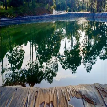 Terreno En Venta,Tancitaro S/N, Tancítaro, Michoacán de Ocampo 60460, 1 Cuarto,1 Baño,Tancitaro,1,pigV5lD