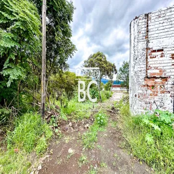 Terreno En Venta,Avicola,Guadalajara-Morelia 8, Morelia, Michoacán de Ocampo 58180,Guadalajara-Morelia,pYT6MRD