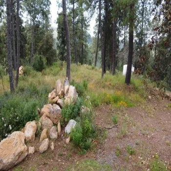 Terreno En Venta,Boskania,Boskania 123, Atemajac de Brizuela, Jalisco 45790,Boskania,pRM9yu1