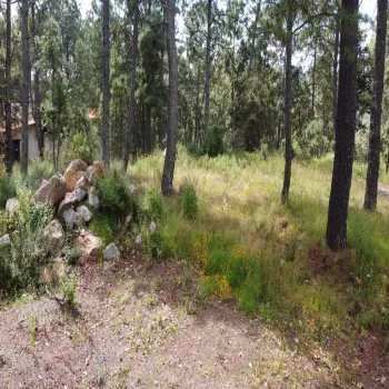 Terreno En Venta,Boskania,Boskania 123, Atemajac de Brizuela, Jalisco 45790,Boskania,pRM9yu1