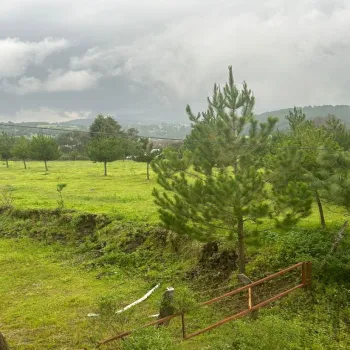 Terreno En Venta,La Cofradia S/N, Mazamitla, Jalisco 49500,La Cofradia,pMiOOmd