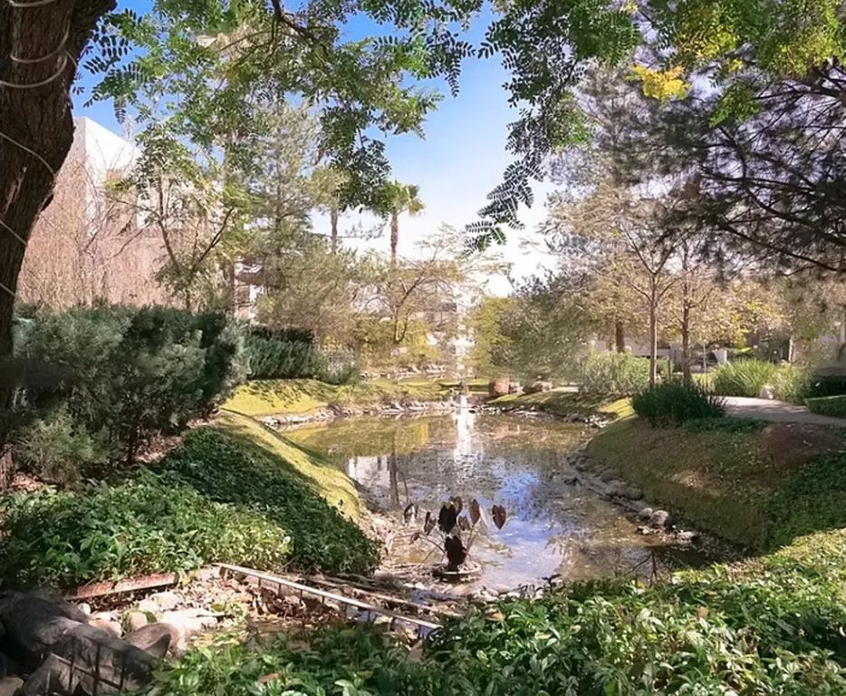 Vallarta Universidad Avenida Juan Palomar y Arias