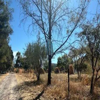 Terreno En Venta,Carretera Chapala Km 31 31, Ixtlahuacán de los Membrillos, Jalisco 45850,Carretera Chapala Km 31,pTrLJ73