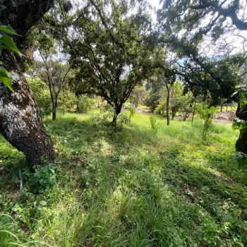 Terreno En Venta,Carretera Catarina - Atemajac de Brizuela KM 27 S/N, Atemajac de Brizuela, Jalisco 45798,Carretera Catarina - Atemajac de Brizuela KM 27,p06bltf