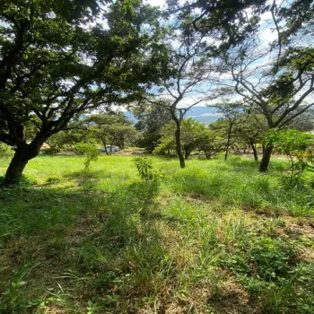 Terreno En Venta,Carretera Catarina - Atemajac de Brizuela KM 27 S/N, Atemajac de Brizuela, Jalisco 45798,Carretera Catarina - Atemajac de Brizuela KM 27,p06bltf