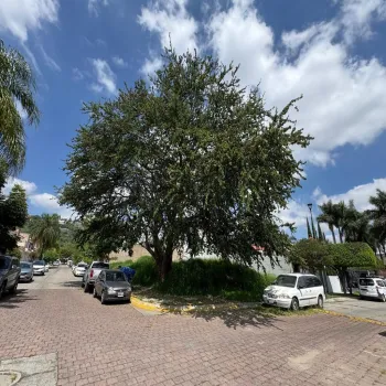 Terreno En Venta,El Palomar,Valle de Aldama S/N, Tlajomulco de Zúñiga, Jalisco 45643,Valle de Aldama,pVyraMZ