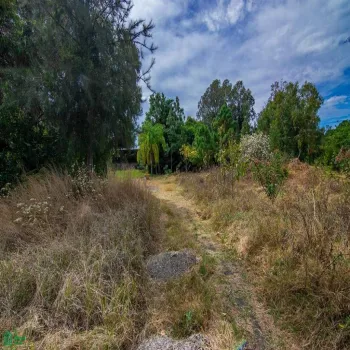 Terreno En Venta,San Nicolás de Ibarra,ISLA LOS PATOS 9, Chapala, Jalisco 45940,ISLA LOS PATOS,MX241039146