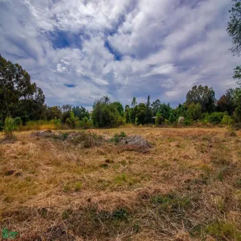 Terreno En Venta,San Nicolás de Ibarra,ISLA LOS PATOS 9, Chapala, Jalisco 45940,ISLA LOS PATOS,MX241039146