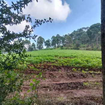 Terreno En Venta,La Media Luna S/N, Mazamitla, Jalisco 49517,La Media Luna ,pSTYiUB