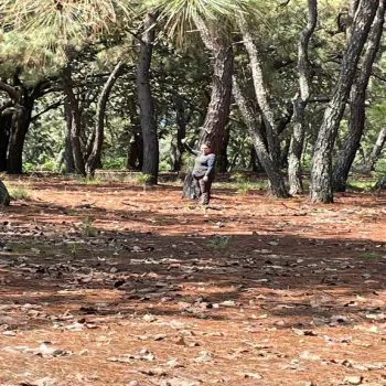 Terreno En Venta,Prolongación Mariano Otero S/N, Zapopan, Jalisco 45230,Prolongación Mariano Otero,p2MAOSO