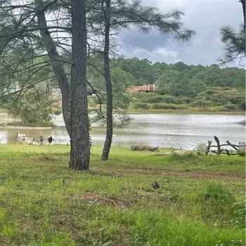 Terreno En Venta,Carmen Aguilar 261, Atemajac de Brizuela, Jalisco 45790,Carmen Aguilar,pJKyka6