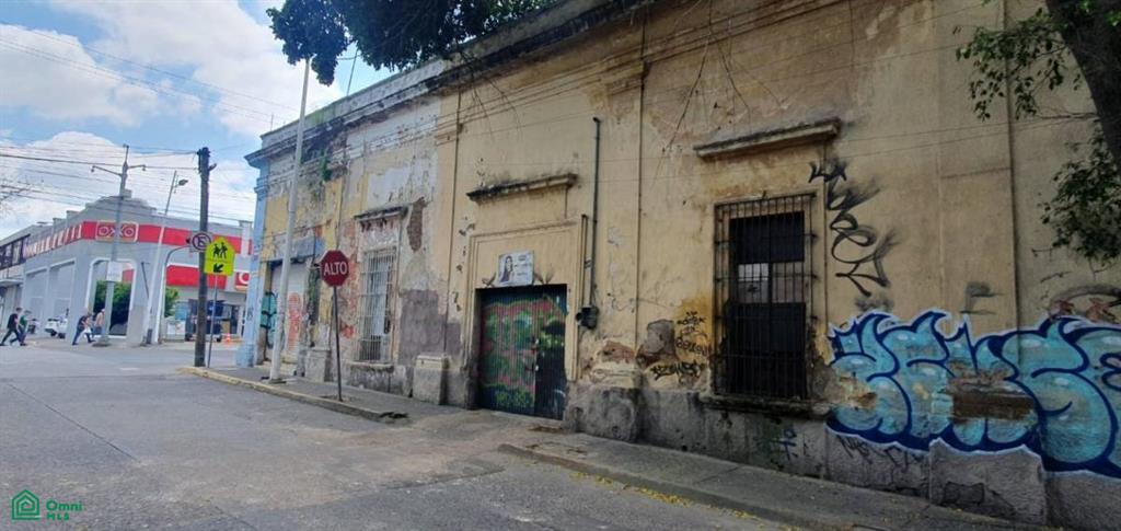 Rinconada San Andres Poniente Gigantes