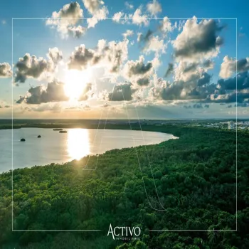 Terreno En Venta,Punta Tiburón Residencial Marina & Golf,Punta Bentos 2114-47, Alvarado, Veracruz de Ignacio de la Llave 95264,Punta Bentos,pJYXcTu