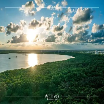 Terreno En Venta,Punta Tiburón,Paseo Lagos 263-263, Alvarado, Veracruz 95264,Paseo Lagos,pvhb3KI