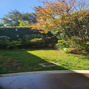 Casa En Venta,Los Pinos Campestre,Avenida Lorenzo Barcelata 4700, Zapopan, Jalisco 45239, 3 Habitaciones,3 Baños,Avenida Lorenzo Barcelata,2,p0JSwAc