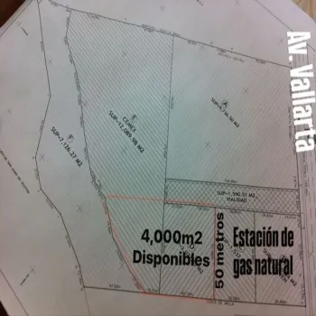 Terreno En Renta,San Juan de Ocotán,Avenida Ignacio L Vallarta 7555 C, Zapopan, Jalisco 45019,Avenida Ignacio L Vallarta,ptSWdMd