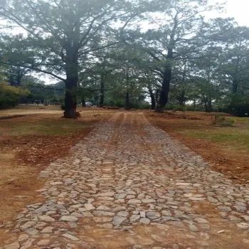 Terreno En Venta,Lomas Verdes,Avenida Conalep S/N, Mazamitla, Jalisco 49500,Avenida Conalep,p1IfSN9