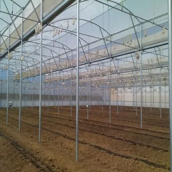 Terreno En Venta,Camino a la Posta, La Cofradia del Rosario S/N, Ciudad Guzmá S/N, Zapotlán el Grande, Jalisco 49032,Camino a la Posta, La Cofradia del Rosario S/N, Ciudad Guzmá,pKnd0YS